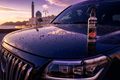 AutoSheen Tire & Rubber Shine Gel